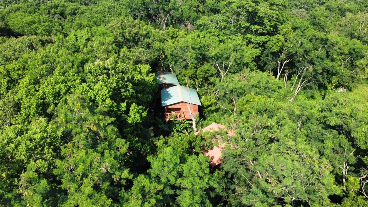 Tree House Hostel Σιγκιρίγια Εξωτερικό φωτογραφία