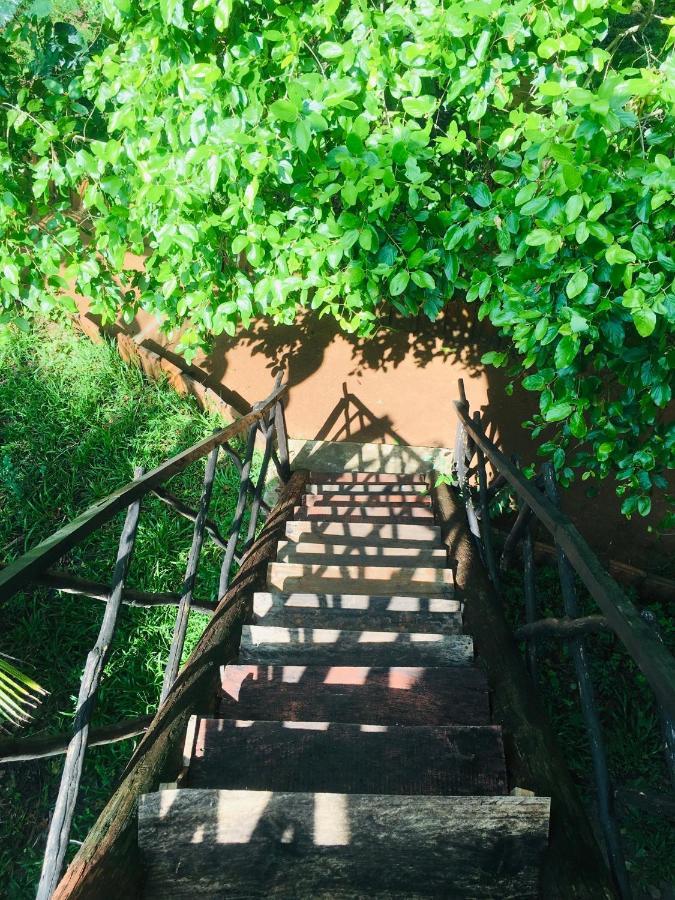Tree House Hostel Σιγκιρίγια Εξωτερικό φωτογραφία