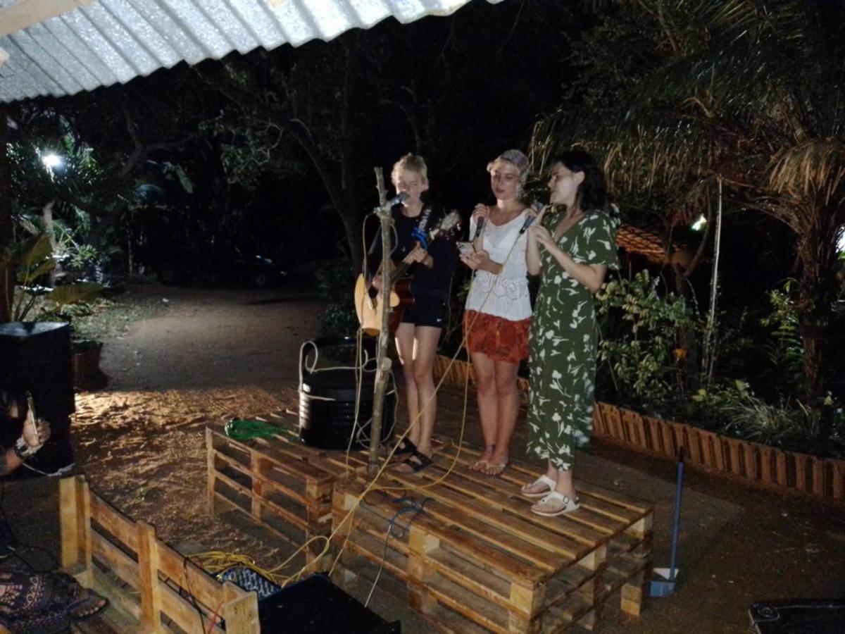 Tree House Hostel Σιγκιρίγια Εξωτερικό φωτογραφία