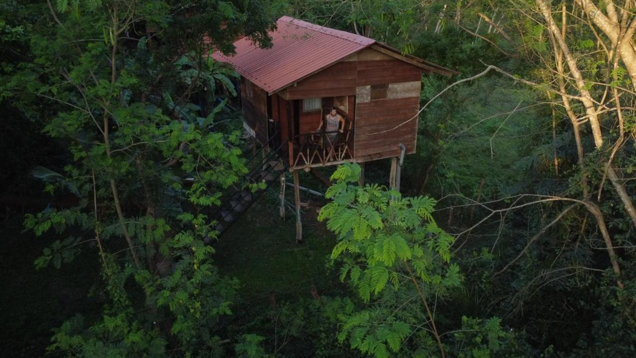 Tree House Hostel Σιγκιρίγια Εξωτερικό φωτογραφία