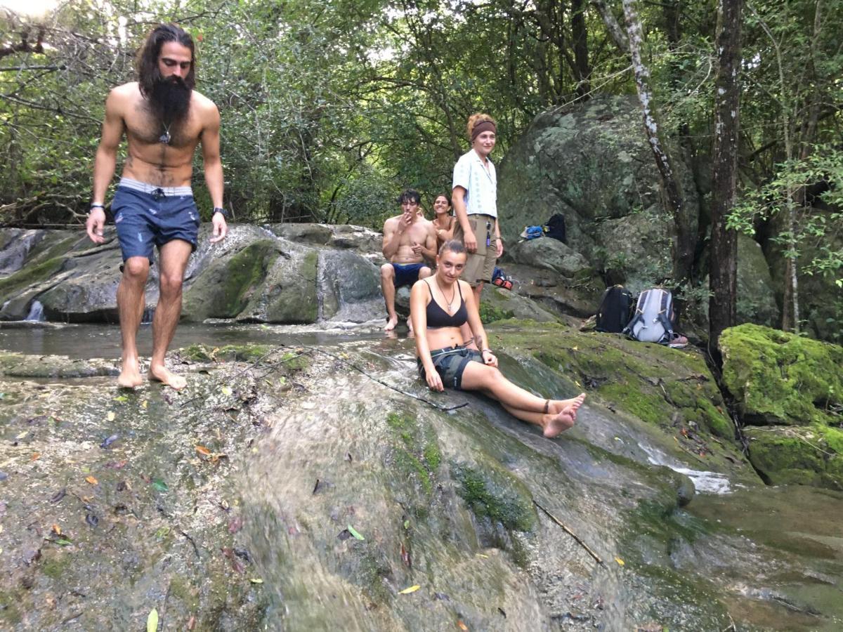 Tree House Hostel Σιγκιρίγια Εξωτερικό φωτογραφία