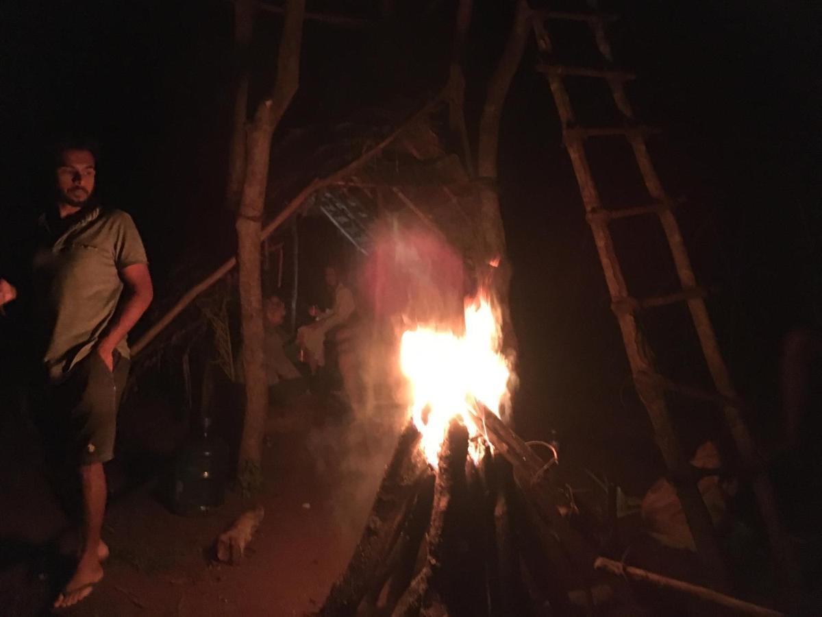 Tree House Hostel Σιγκιρίγια Εξωτερικό φωτογραφία
