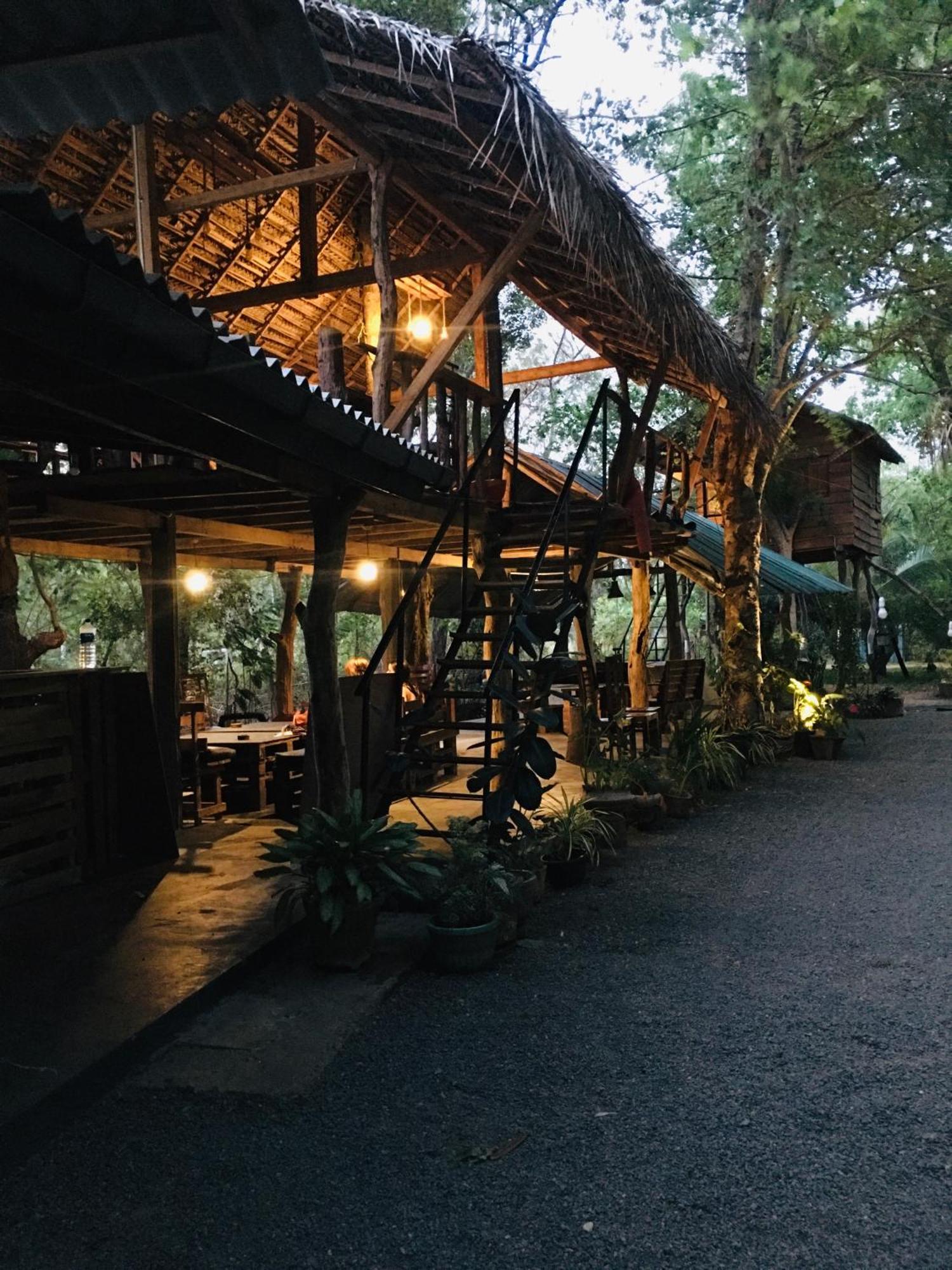Tree House Hostel Σιγκιρίγια Εξωτερικό φωτογραφία