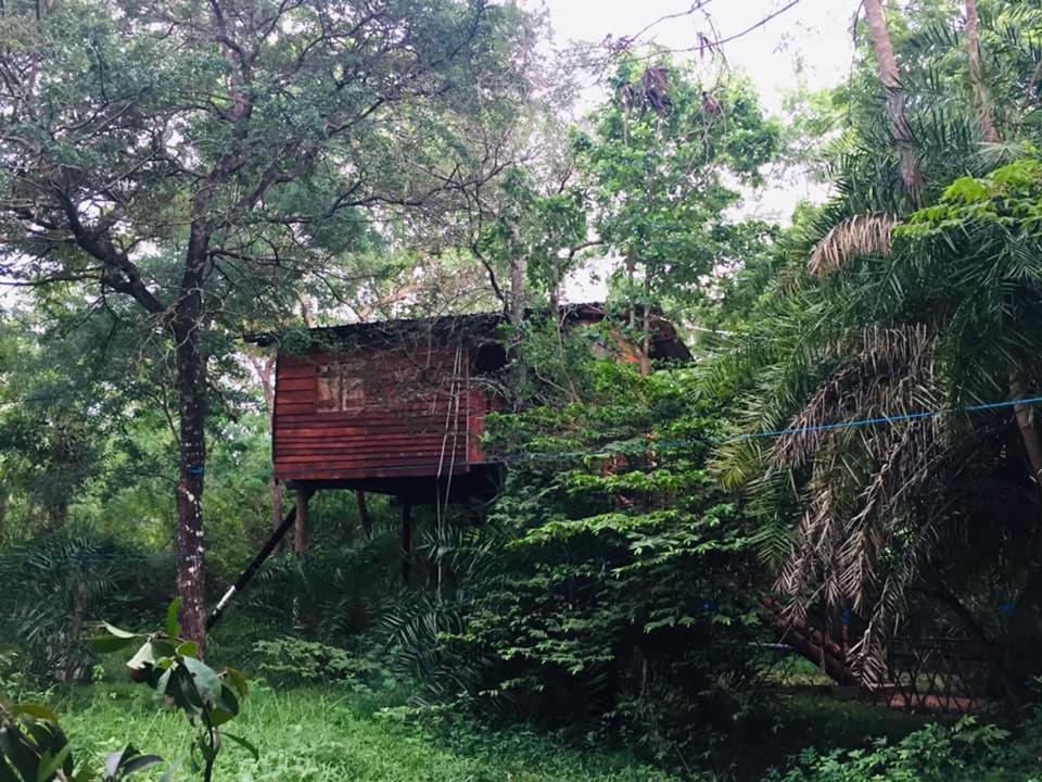 Tree House Hostel Σιγκιρίγια Εξωτερικό φωτογραφία