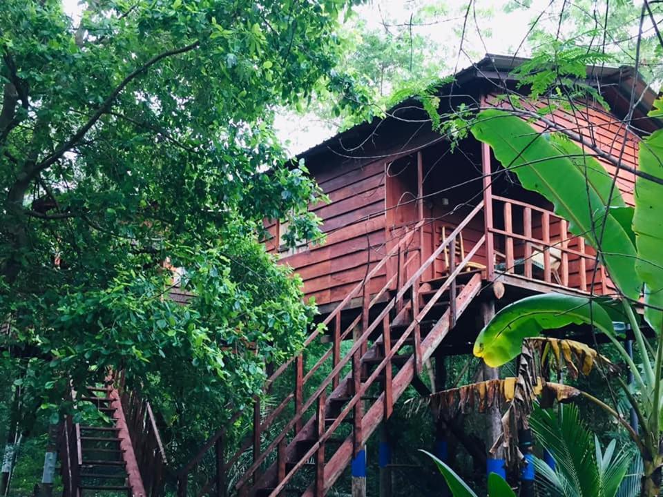 Tree House Hostel Σιγκιρίγια Εξωτερικό φωτογραφία