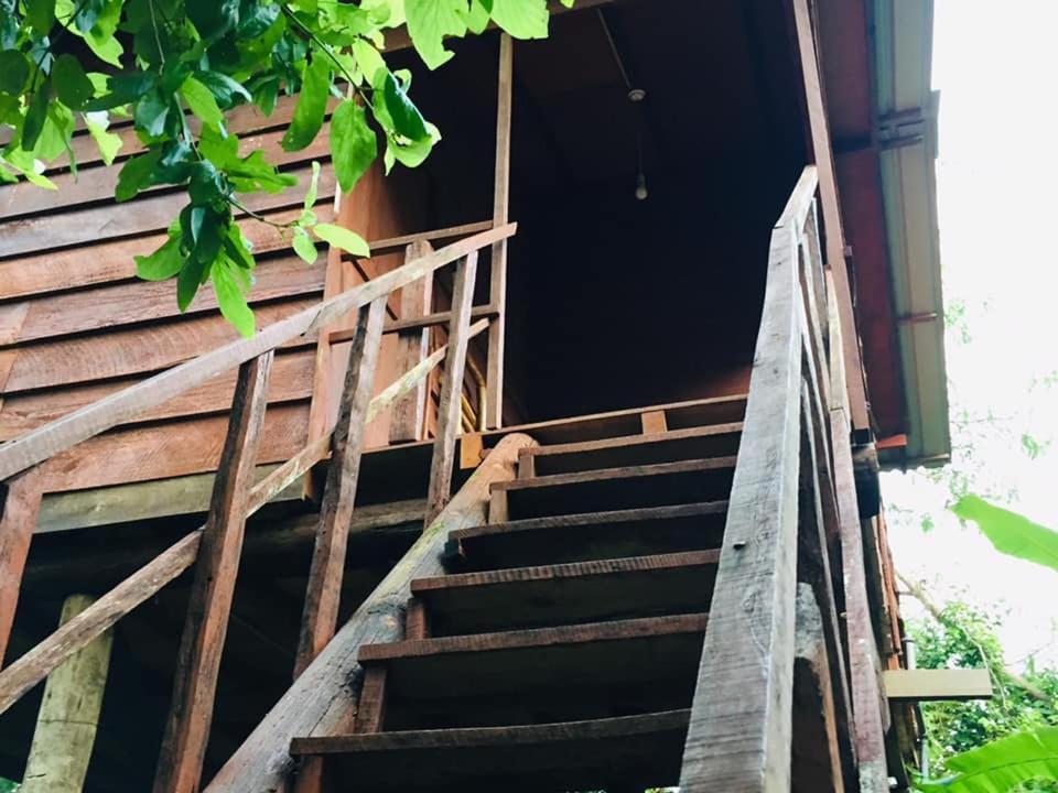 Tree House Hostel Σιγκιρίγια Εξωτερικό φωτογραφία